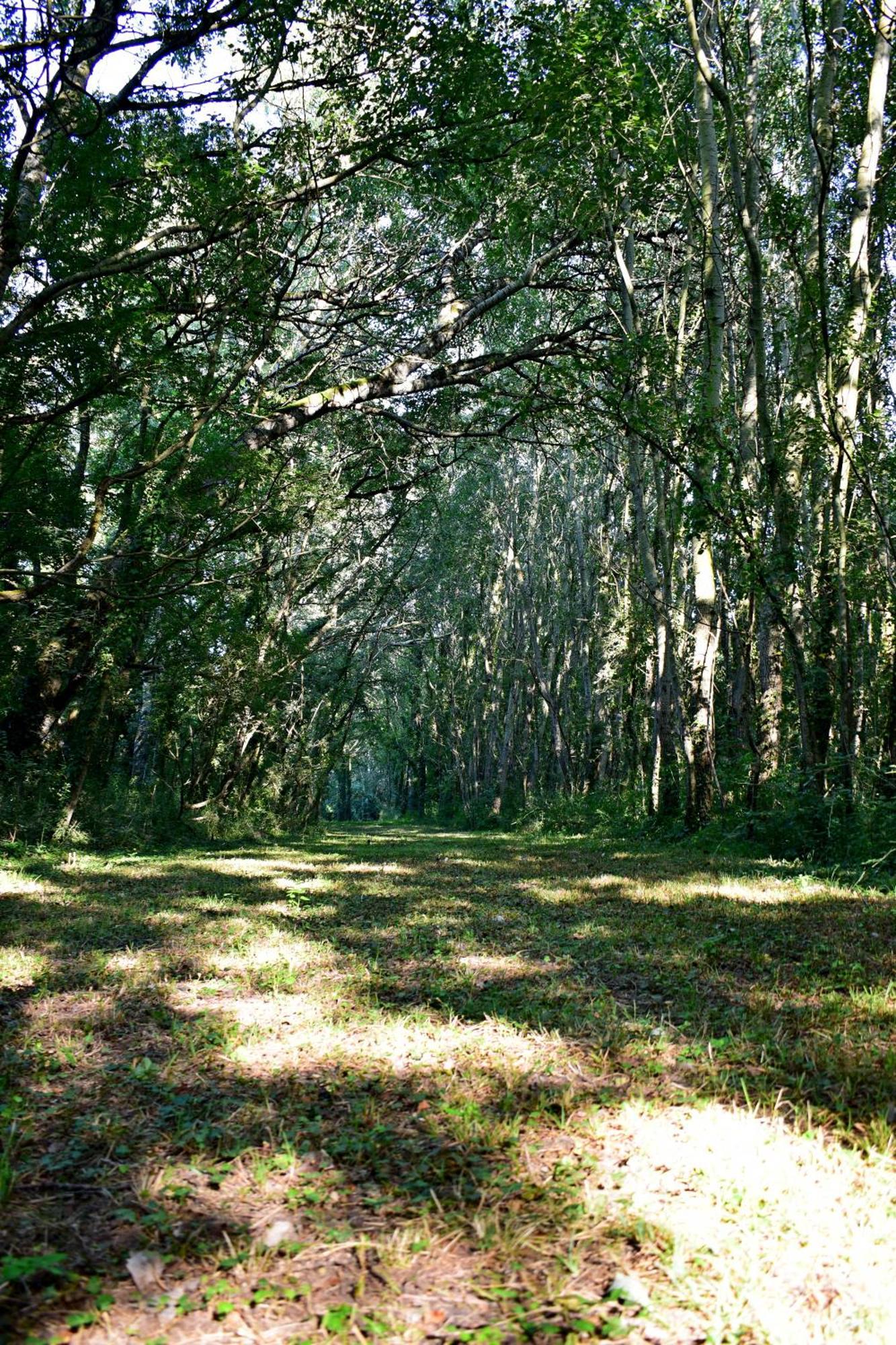 Saint-Georges-sur-Layon L'Oree Du Bois Gaubau المظهر الخارجي الصورة